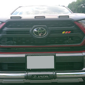 RAV4 MXAA54