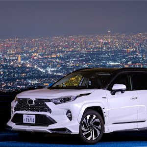 RAV4 AXAH54