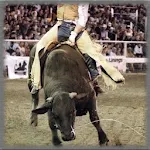 Rodeo Sports Wallpaper Apk