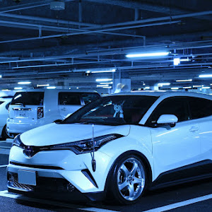 C-HR ZYX10