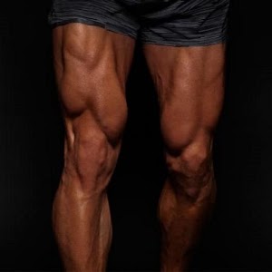 Download All Quadriceps exercises For PC Windows and Mac