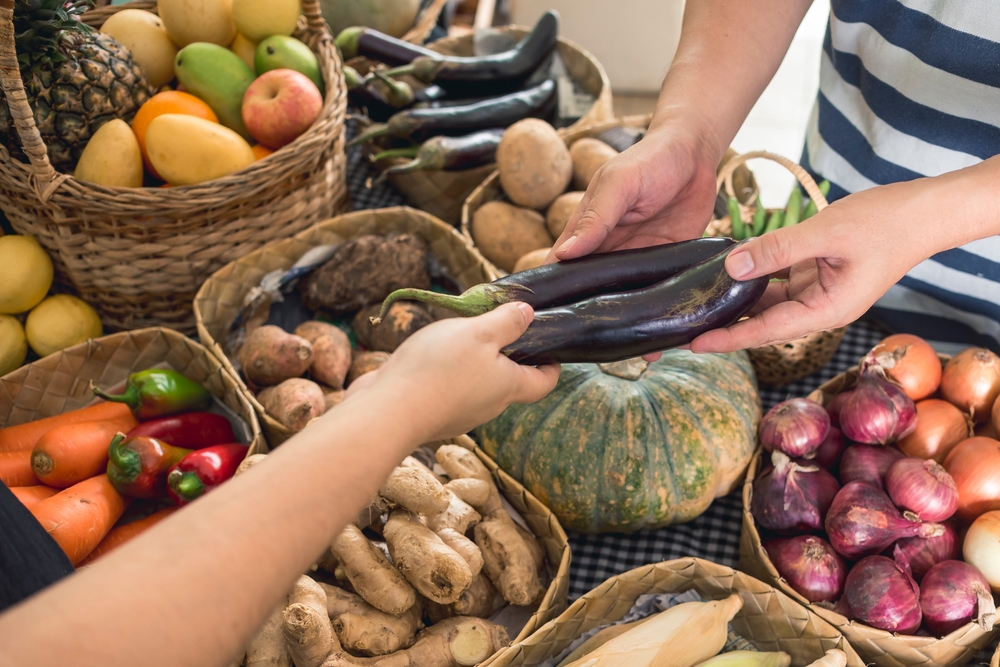 Penjual sayur merupakan contoh vendor dengan model bisnis B2C.