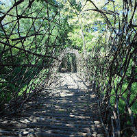 Arte in natura: ponte vegetale  di 