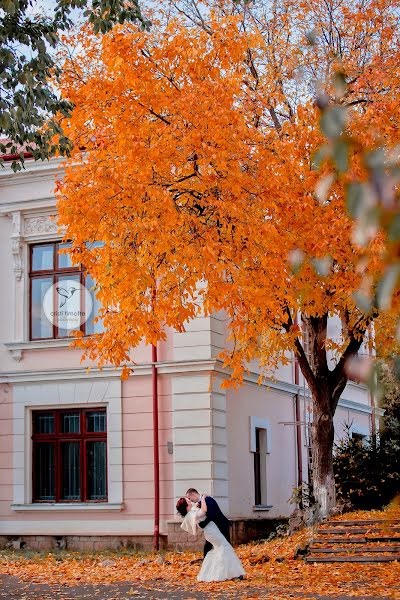 Svatební fotograf Timofte Cristi (cristitimofte). Fotografie z 7.července 2016