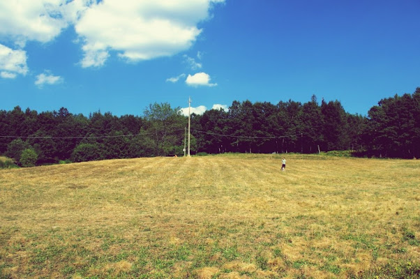 Aria d'estate. di micphotography