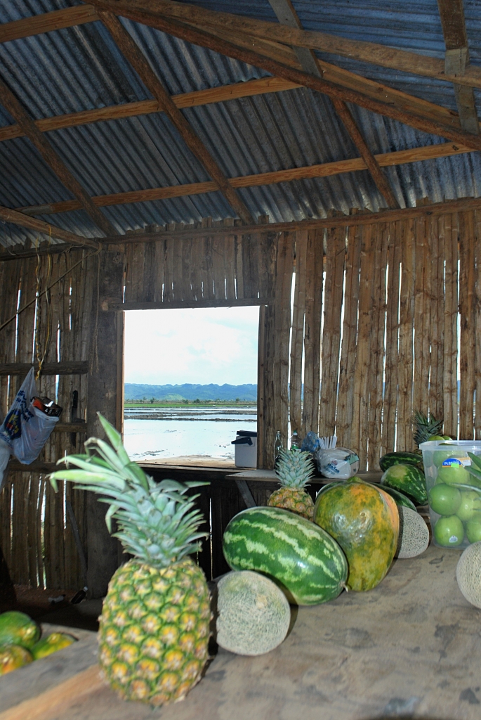 Supermercato delle risaie di fedemineral