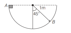 Dynamics of Circular Motion