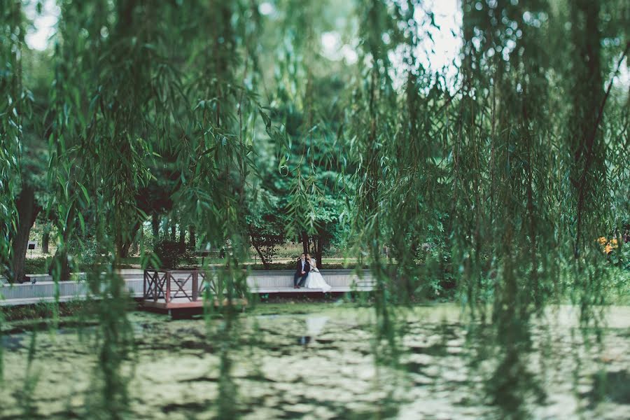 Fotografo di matrimoni Vera Scherbakova (vera007). Foto del 16 novembre 2015