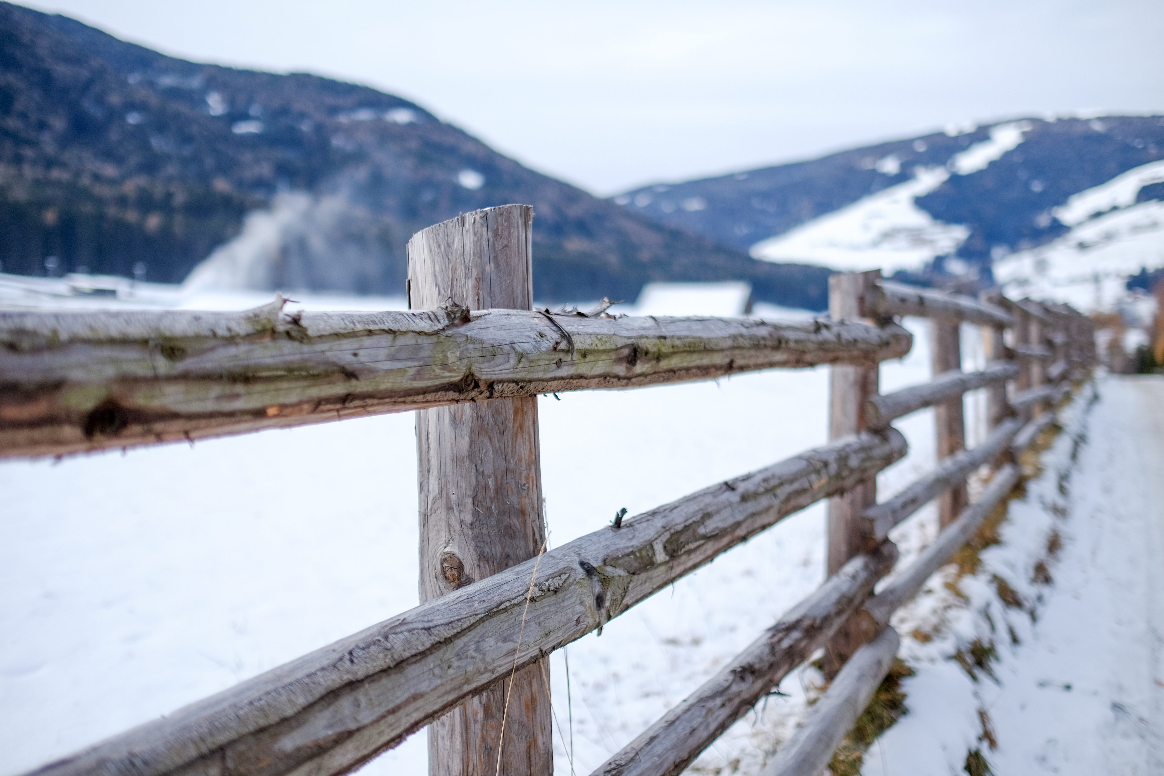 Legno di montagna di nicolagardin