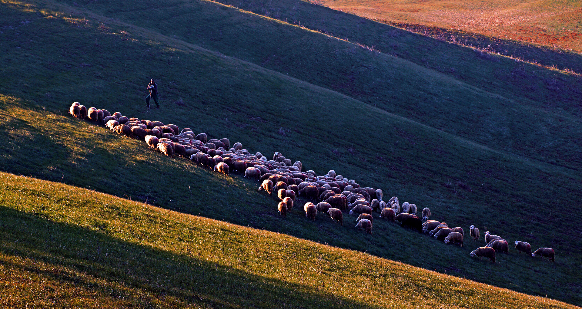 Fasci di luce di Lippa