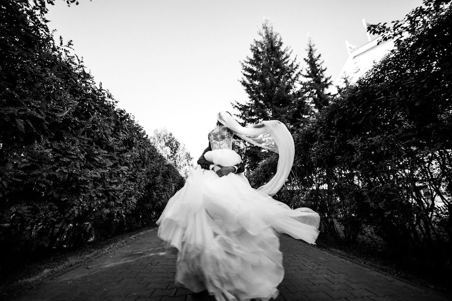 Wedding photographer Anastasiya Korolkova (artpersona). Photo of 4 September 2018