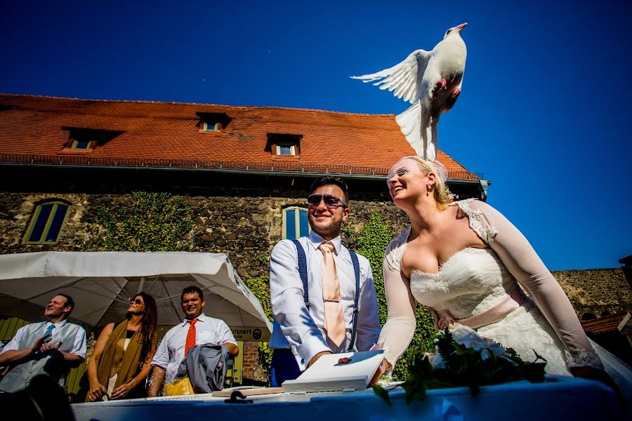 Wedding photographer Steven Herrschaft (stevenherrschaft). Photo of 15 July 2016