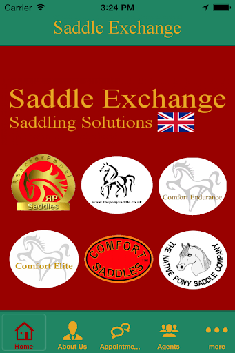 Saddle Exchange