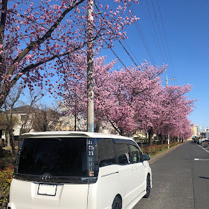 ヴォクシー ZRR80W