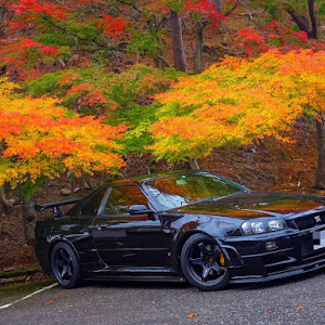 スカイライン GT-R BNR34