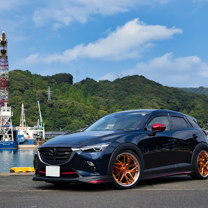 CX-3 DKEFW