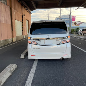 ヴェルファイア ANH20W