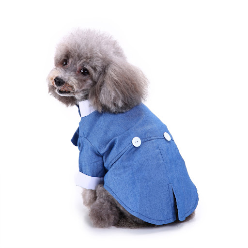 Title 9, Waterproof and warm dog suit for winter walks. ...