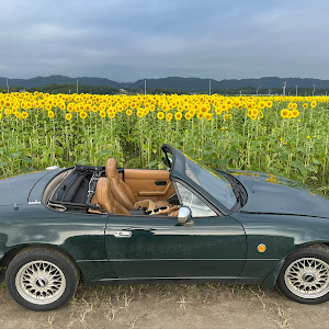 ロードスター NA8C
