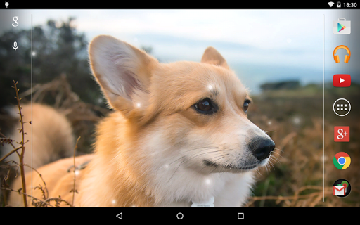 免費下載個人化APP|Puppies Live Wallpaper app開箱文|APP開箱王