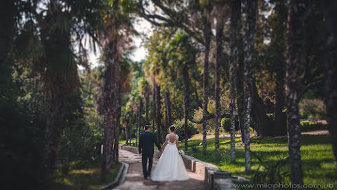 Fotografo di matrimoni Mila Elchaninova (milaphotos). Foto del 22 ottobre 2018