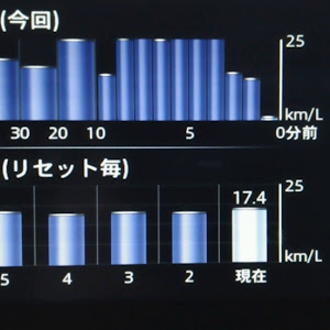 アクセラスポーツ BMEFS