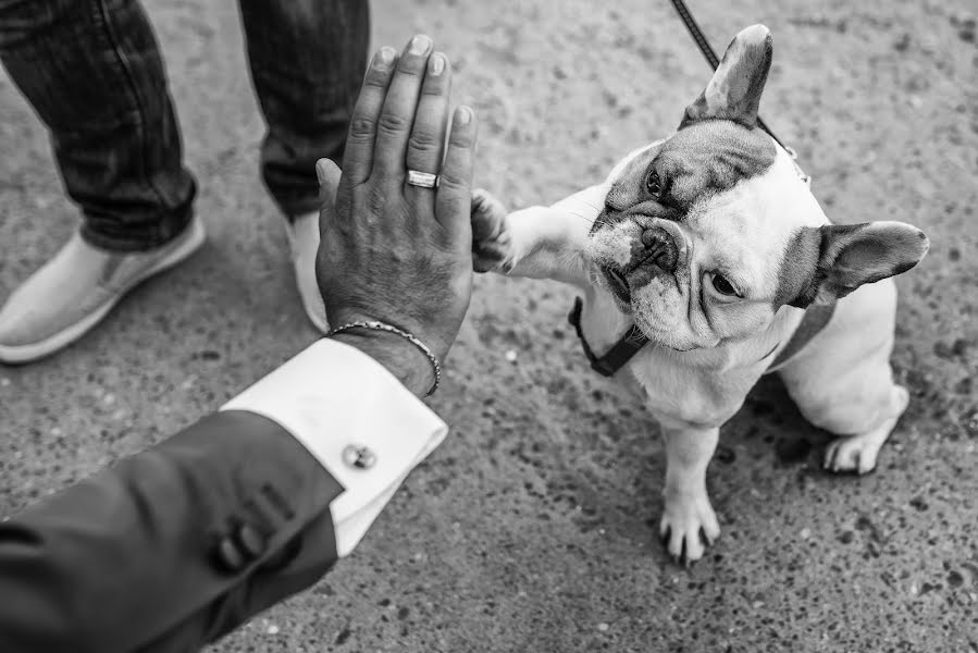 Bryllupsfotograf Andrei Branea (branea). Bilde av 30 mai 2017