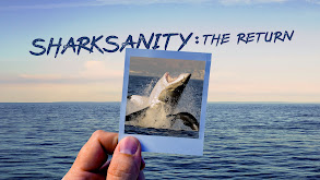 Sharksanity: The Return thumbnail