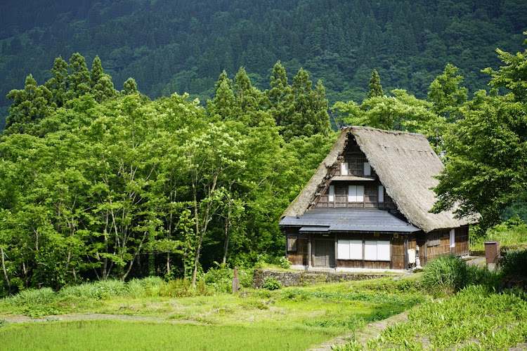 の投稿画像7枚目