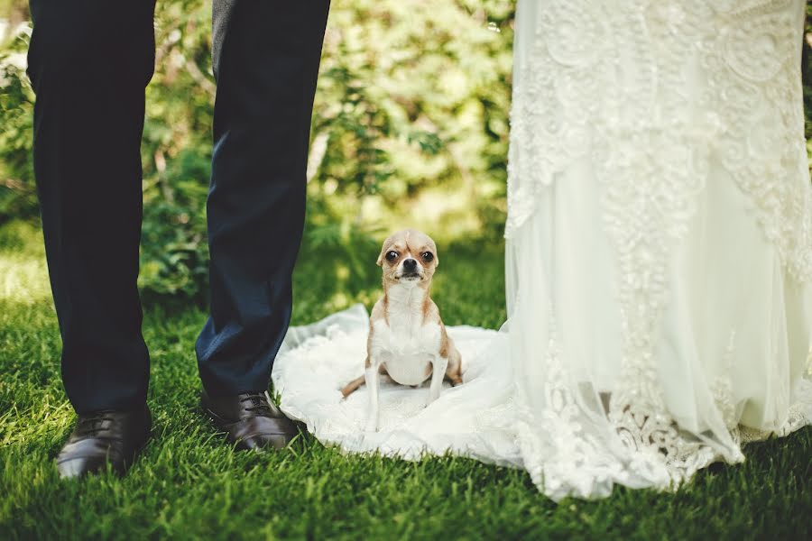 Fotografo di matrimoni Elena Ivasiva (friedpic). Foto del 19 luglio 2016