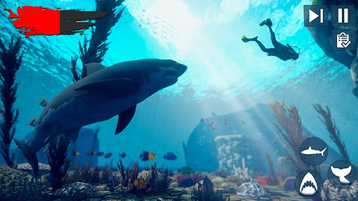 Screenshot Real Survival Angry Shark Game