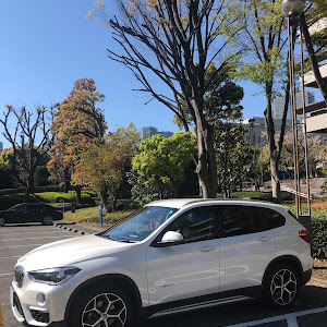 X1 xDrive 25i