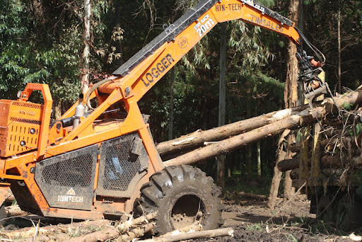 A tractor loads trees at Nessuit Forest, an extension of Mau Complex Image: Ben Ndonga