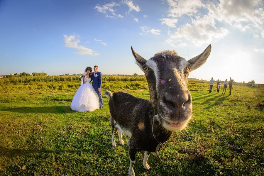 Fotógrafo de casamento Mikola Cimbalyuk (mikolacimbal). Foto de 9 de março 2016