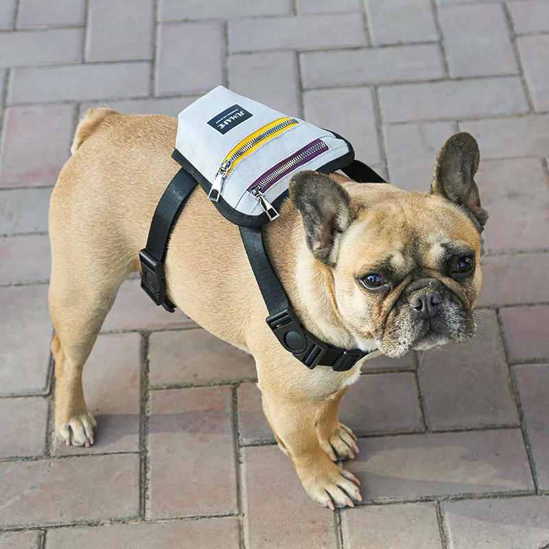 Honden Outdoor Reisrugzak Comfortabel uw hond vervoeren Perfect voor avonturen wandelingen en uitstapjes Ergonomisch design en functioneel
