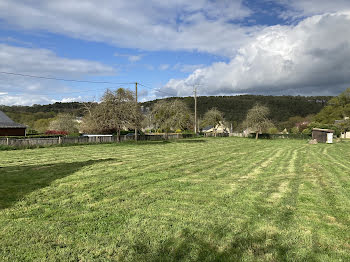 terrain à Rieux (56)