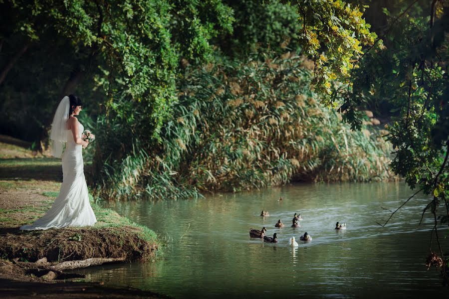 Wedding photographer Viktoriya Vasilevskaya (vasilevskay). Photo of 19 September 2014