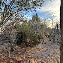 Imagen PARTE ALICUOTA