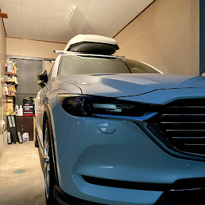 CX-8
