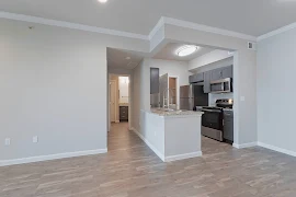 Modern apartment interior with an open kitchen, stainless steel appliances, and light wood-style flooring.