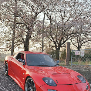 RX-7 FD3S 中期