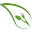 Naab Cafe Download on Windows