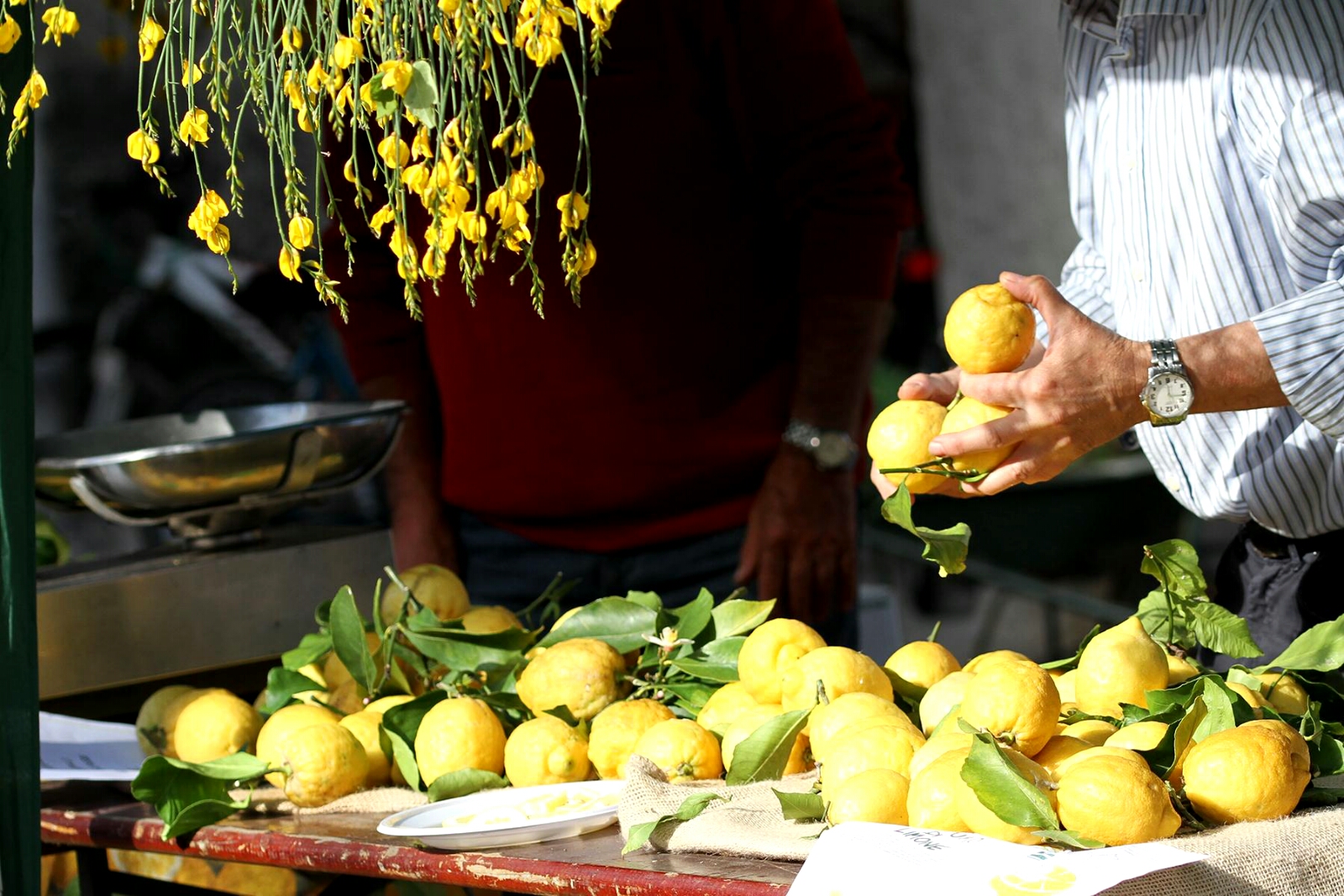 festa dei limoni di zizzi