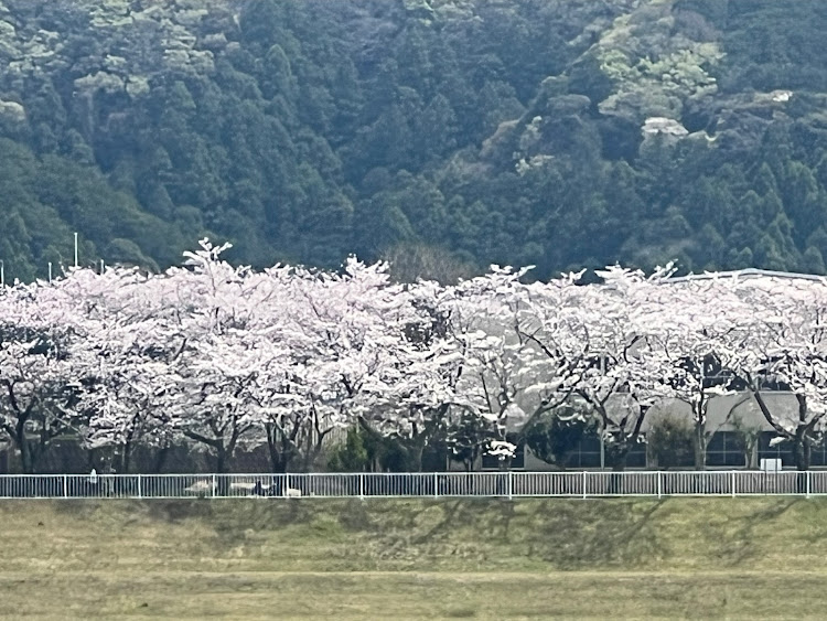 の投稿画像3枚目