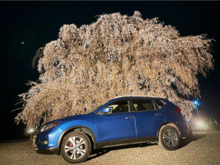 エクストレイルの青のアルバム🚙・桜とコラボ・夜桜・枝垂れ桜＆愛車・夜ドライブは気持ちいいに関するカスタム事例の投稿画像7枚目