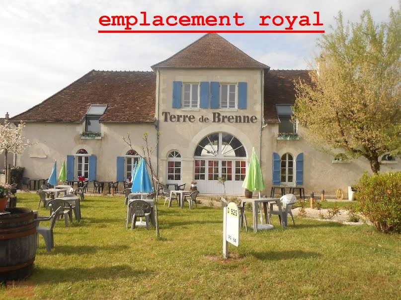 Vente locaux professionnels  550 m² à Azay-le-Ferron (36290), 149 000 €