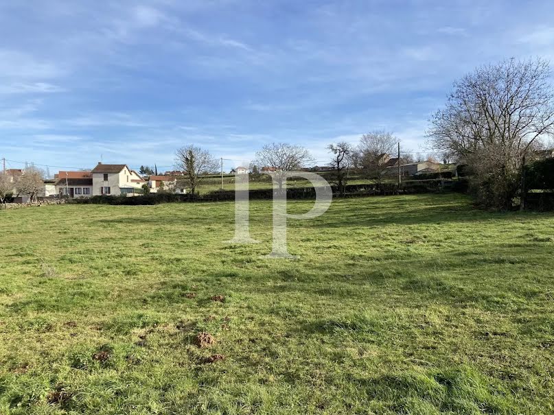 Vente terrain à batir  4517 m² à Saint-Christophe-en-Brionnais (71800), 58 000 €