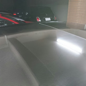 LS