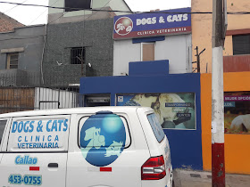 Dogs & Cats Clinica Veterinaria