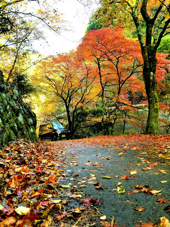 ルークス ハイウェイスター ターボのルークス・蓬莱山・紅葉🍁・唐揚げ・ドライブに関するカスタム事例の投稿画像6枚目
